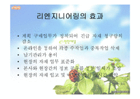 [경영의이해] 리엔지니어링의 정의와 대림산업의 리엔지니어링-13