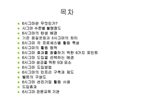 [경영의이해] 식스시그마-2