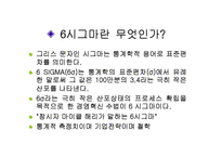 [경영의이해] 식스시그마-3