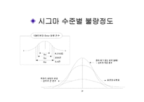 [경영의이해] 식스시그마-4