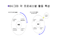 [경영의이해] 식스시그마-8