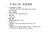 [경영의이해] 식스시그마-12