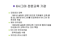 [경영의이해] 식스시그마-19