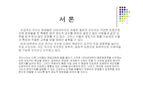 [교육학개론] 영재교육-3