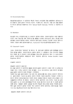 [일본대중문화의 이해] 뉴에이지 음악과 일본의 뉴에이지 아티스트-4