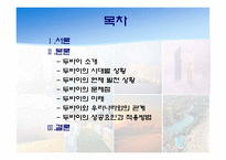 [해외지역개발론] 사막속에서 이루어낸 기적 - 두바이 프로젝트-2