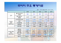 [해외지역개발론] 사막속에서 이루어낸 기적 - 두바이 프로젝트-7