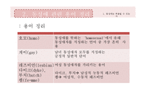 [글로벌 시대의 사회윤리] 동성애의 허용유무-4