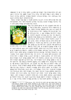 현대문학의 두 얼굴 -베이징(北京)과 상하이(上海)-12