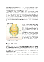[신체 건강, 재활, 운동처방] 신체 활동 및 건강(관절염)-5