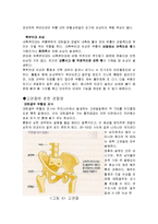 [신체 건강, 재활, 운동처방] 신체 활동 및 건강(관절염)-6
