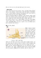 [신체 건강, 재활, 운동처방] 신체 활동 및 건강(관절염)-7