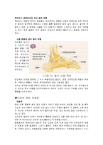 [신체 건강, 재활, 운동처방] 신체 활동 및 건강(관절염)-8