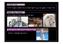 [호텔경영론] 특급호텔의 엔터테인먼트-11