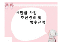 [지역시장의 이해] 새만금사업 추진경과 및 향후전망-1