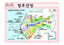 [지역시장의 이해] 새만금사업 추진경과 및 향후전망-10
