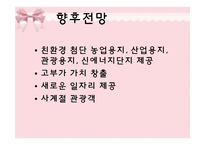 [지역시장의 이해] 새만금사업 추진경과 및 향후전망-11