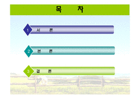 [농촌복지론] 농촌 사회안정망 실태와 개선방향-2