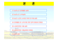 [농촌복지론] 농촌 사회안정망 실태와 개선방향-5