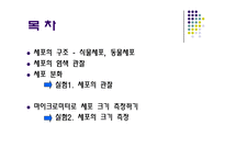 [생물학실험] 세포의 관찰-2