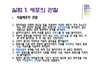 [생물학실험] 세포의 관찰-8