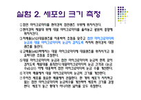 [생물학실험] 세포의 관찰-11