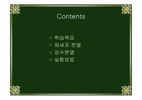 [생물학실험] 세포분열-2
