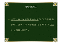 [생물학실험] 세포분열-3