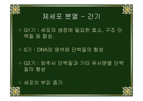 [생물학실험] 세포분열-5