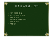[생물학실험] 세포분열-13