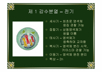 [생물학실험] 세포분열-14