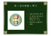 [생물학실험] 세포분열-16