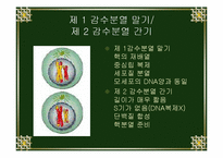 [생물학실험] 세포분열-17