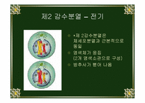[생물학실험] 세포분열-18
