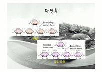 [생물학실험] 당질의 검정-6