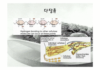 [생물학실험] 당질의 검정-7