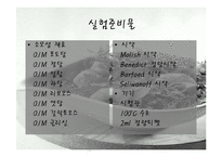 [생물학실험] 당질의 검정-13