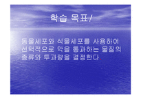 [생물학실험] 삼투와 물질이동-3