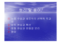 [생물학실험] 삼투와 물질이동-4