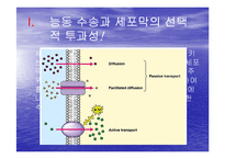 [생물학실험] 삼투와 물질이동-5