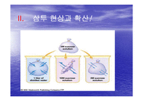 [생물학실험] 삼투와 물질이동-6