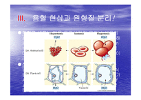 [생물학실험] 삼투와 물질이동-7