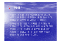 [생물학실험] 삼투와 물질이동-8