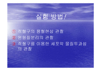 [생물학실험] 삼투와 물질이동-10