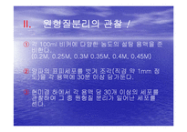 [생물학실험] 삼투와 물질이동-12