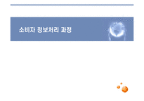 [소비자행동론] 소비자 정보처리 과정-1