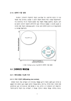[국제경영] 그라비티 `라그나로크` Gravity 해외진출-7
