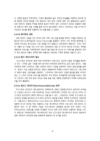 [국제경영] 그라비티 `라그나로크` Gravity 해외진출-12