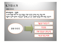 [조직구조론] 제10장 조직성장 ㈜퓨처시스템의 성장 과정-3