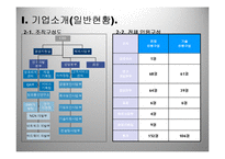 [조직구조론] 제10장 조직성장 ㈜퓨처시스템의 성장 과정-5
